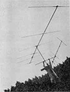 �ɓ��E�B���R�ł̃A���e�i