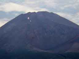 �x�m�R�̕�i�R