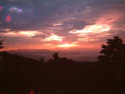 �x�m�R�񍇖ڂ���̗[�Ă�