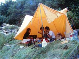 �R���e�X�g��M�S