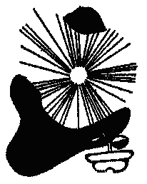 �^���P�\���G