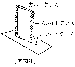 ���w���������}