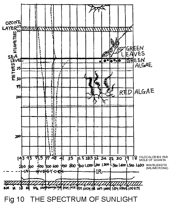 �����̃X�y�N�g��