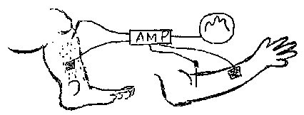 人の筋肉インパルス計測