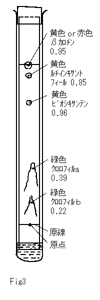 ペーパークロマトグラフィー実験