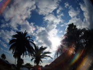 �ɓ��C�m�����_�C�r���O�E�郖������@�C�x���g���j���[�X