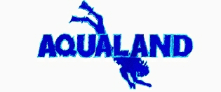 �v�[�P�b�g�@�A�N�A�����h
