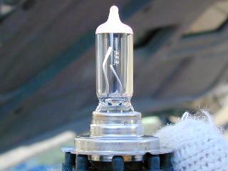 NORMAL BULB�@12V 55W