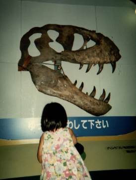 �n���h�����񂷂ƌ����J���܂��B