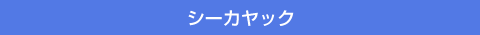 シーカヤック