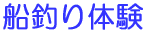 Dނ̌