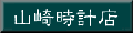 vE