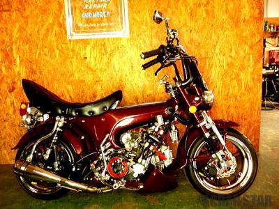 ダックスかシャリー⤴️