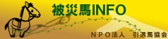 ��ДnINFO