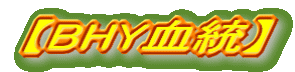 yɌÒJYz