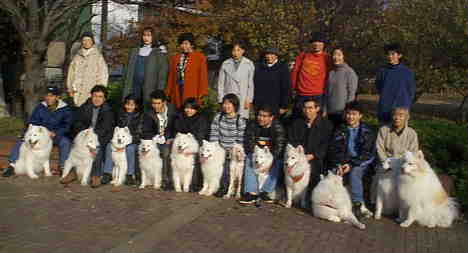 サモエドオフ会 in 等々力