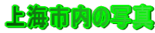 Cs̎ʐ^